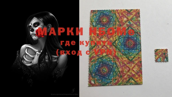 мдпв Богородицк