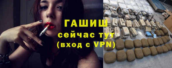 мдпв Богородицк