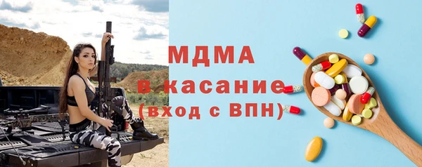 индика Бронницы